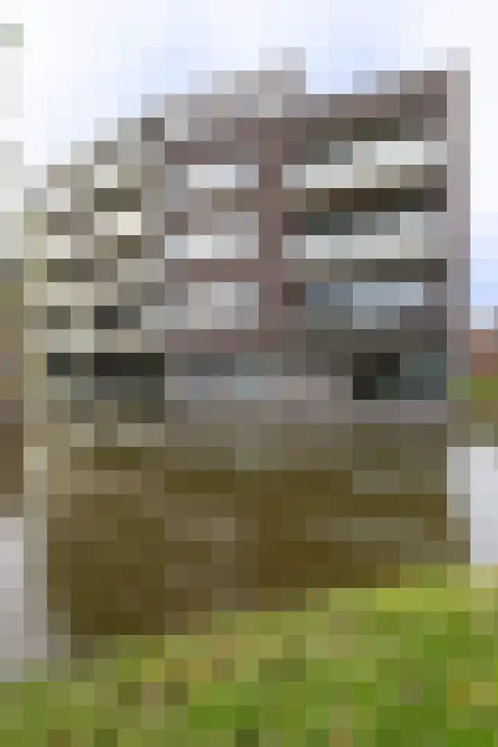 Waterlelie 146 Roelofarendsveen thumbnail 29