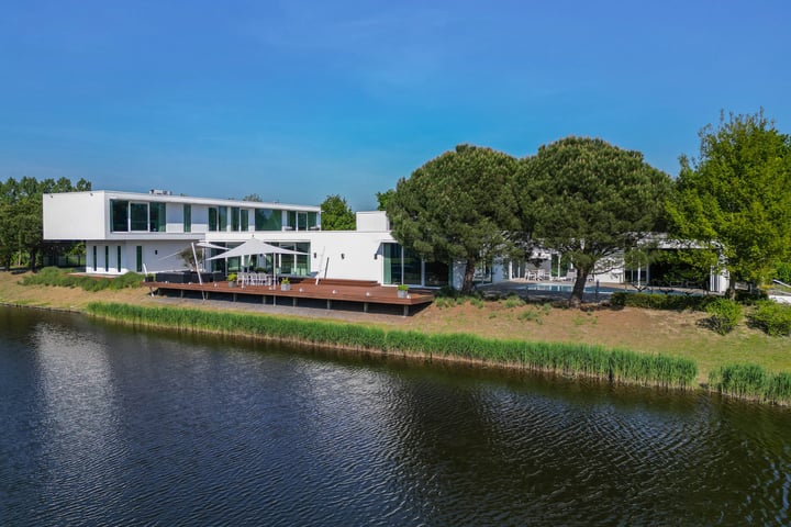 Waterlelie 15 en Terneuzen foto