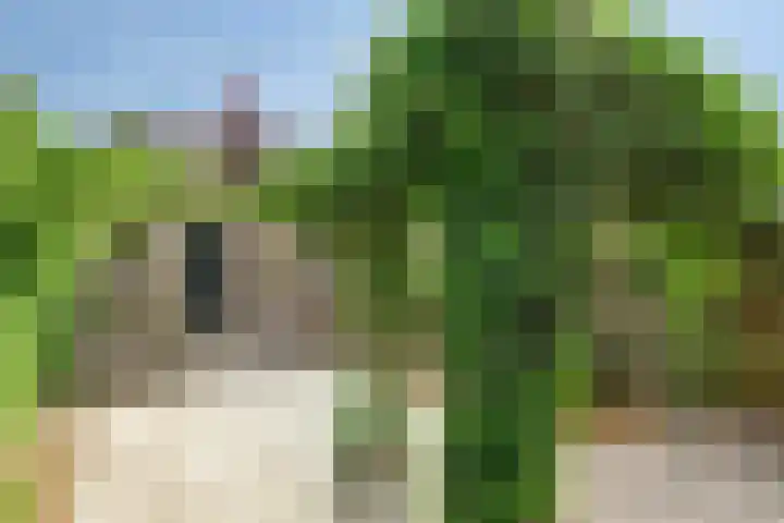 Waterlelie 15 Kockengen thumbnail 23
