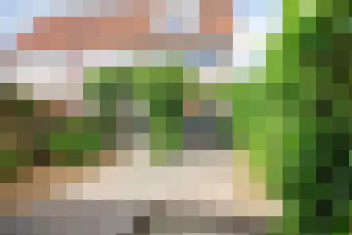 Waterlelie 15 Kockengen thumbnail 24