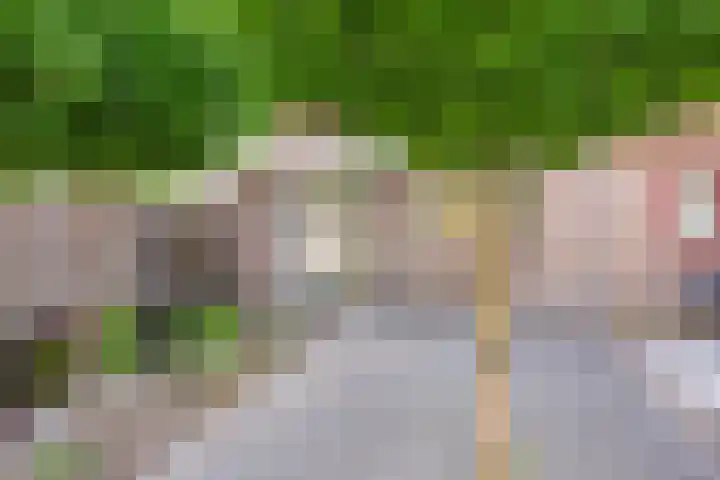 Waterlelie 15 Kockengen thumbnail 26
