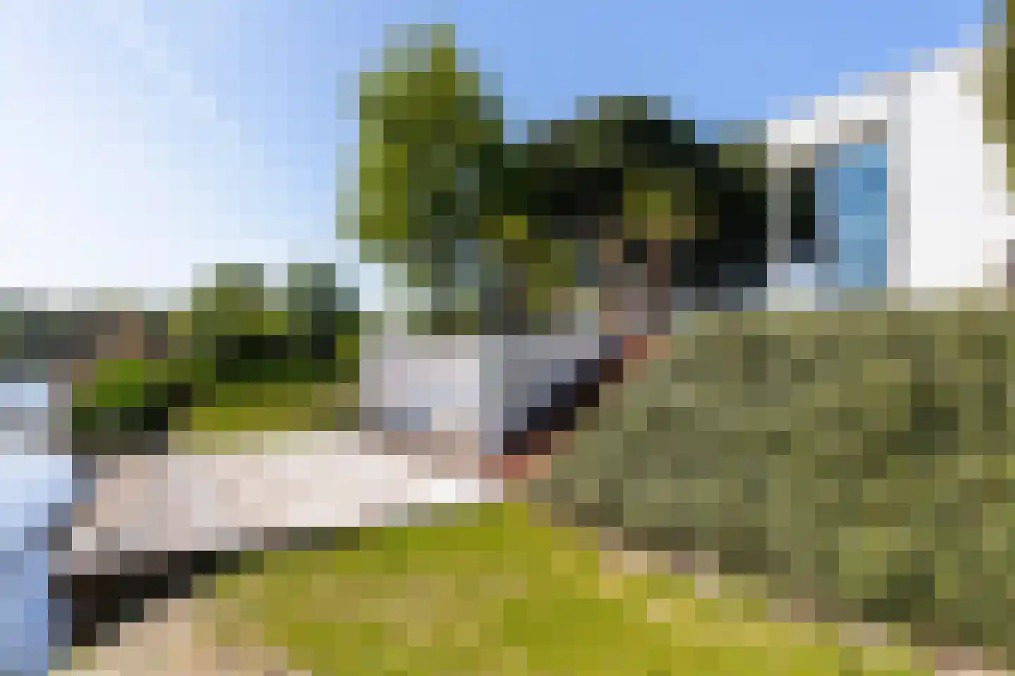 Waterlelie 15 Terneuzen thumbnail 24