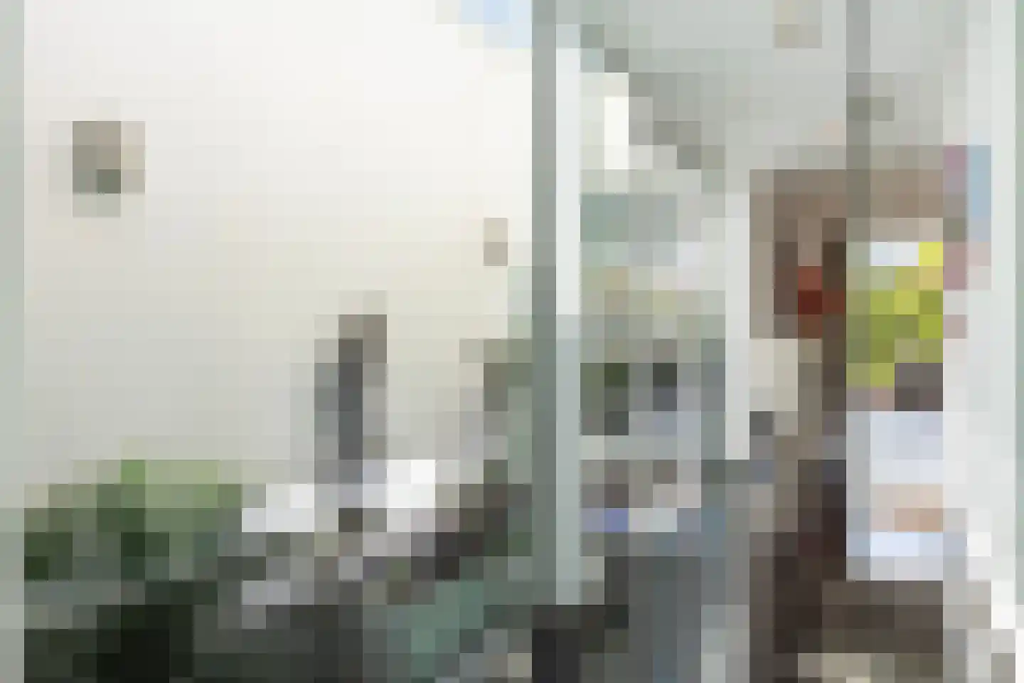 Waterlelie 15 Terneuzen thumbnail 28