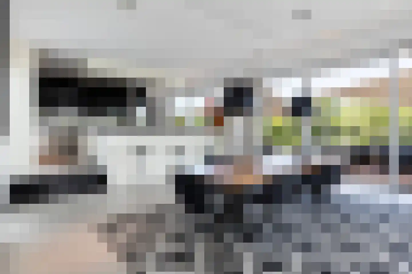 Waterlelie 15 Terneuzen thumbnail 30