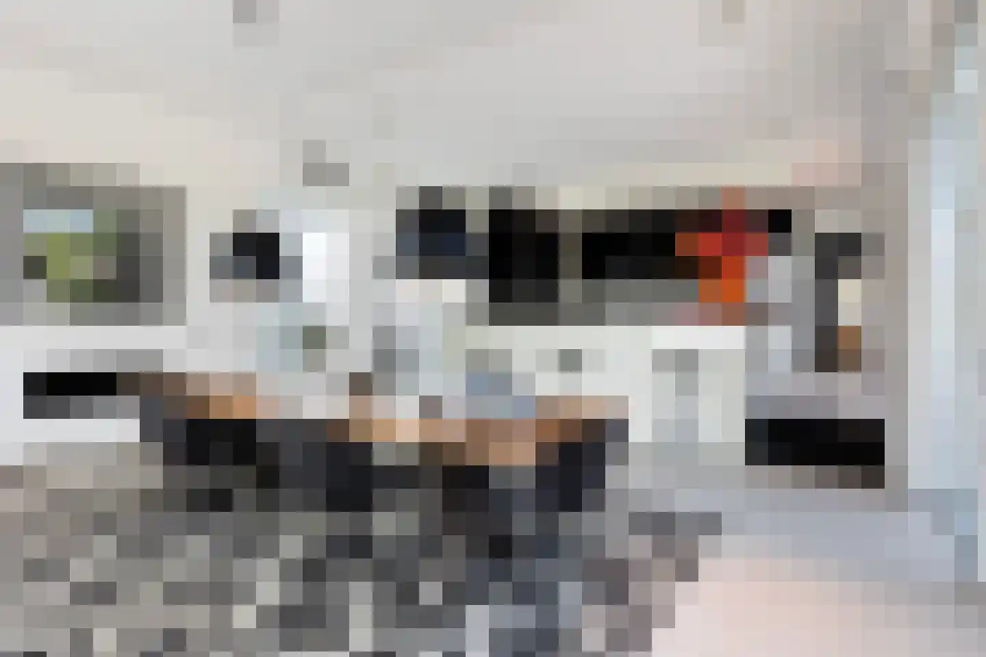 Waterlelie 15 Terneuzen thumbnail 31