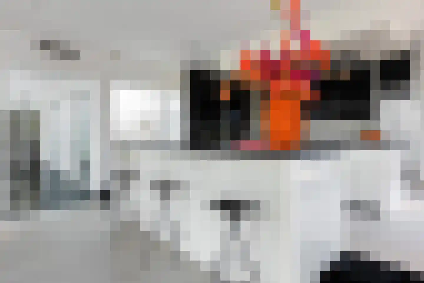 Waterlelie 15 Terneuzen thumbnail 33
