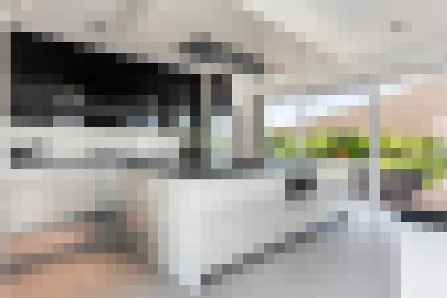 Waterlelie 15 Terneuzen thumbnail 34