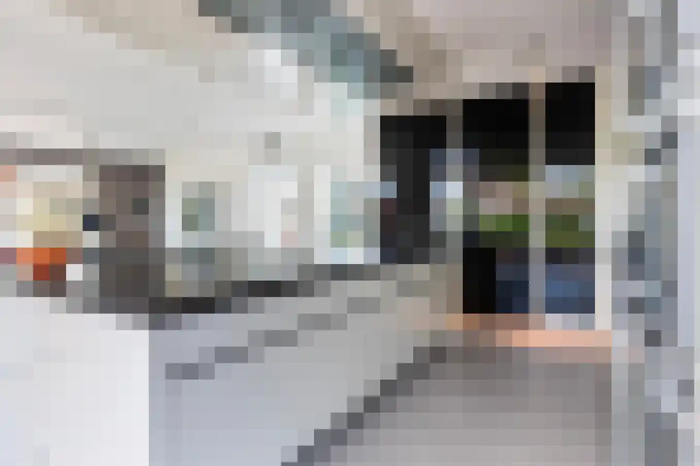 Waterlelie 15 Terneuzen thumbnail 35