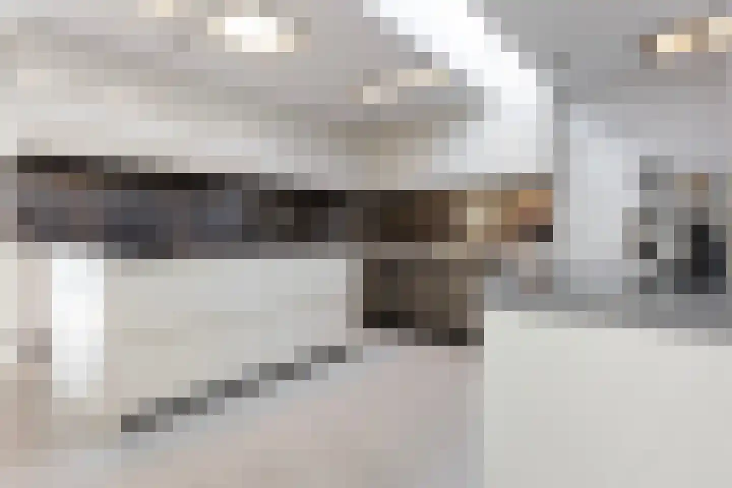 Waterlelie 15 Terneuzen thumbnail 36