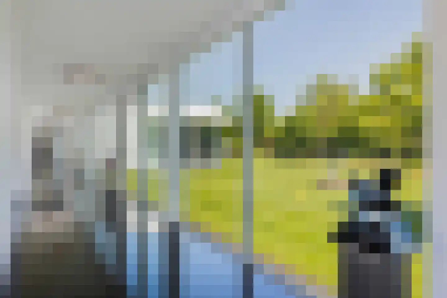 Waterlelie 15 Terneuzen thumbnail 38