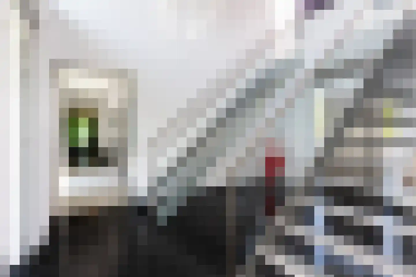 Waterlelie 15 Terneuzen thumbnail 46