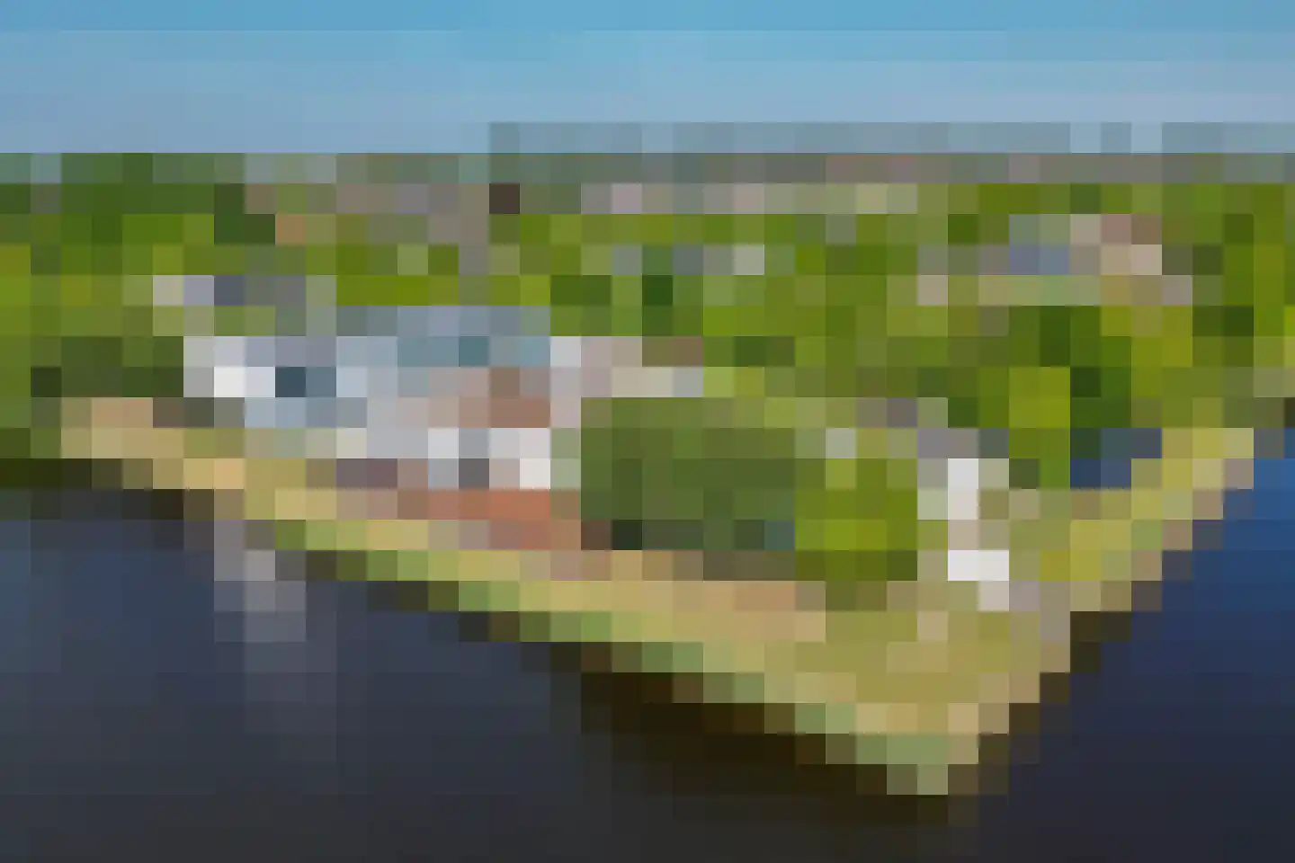 Waterlelie 15 Terneuzen thumbnail 5