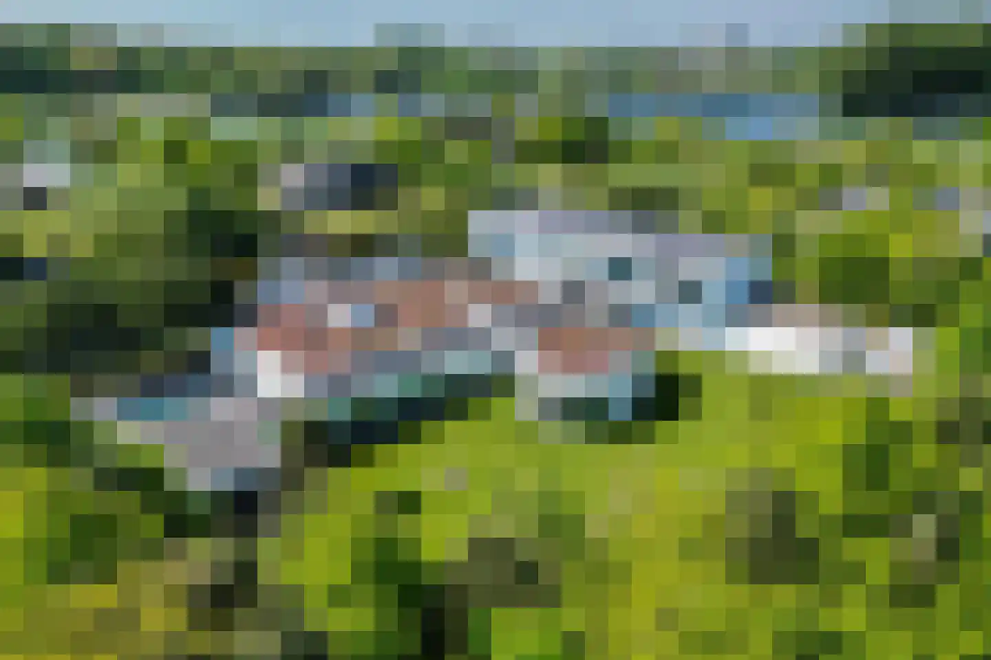 Waterlelie 15 Terneuzen thumbnail 6