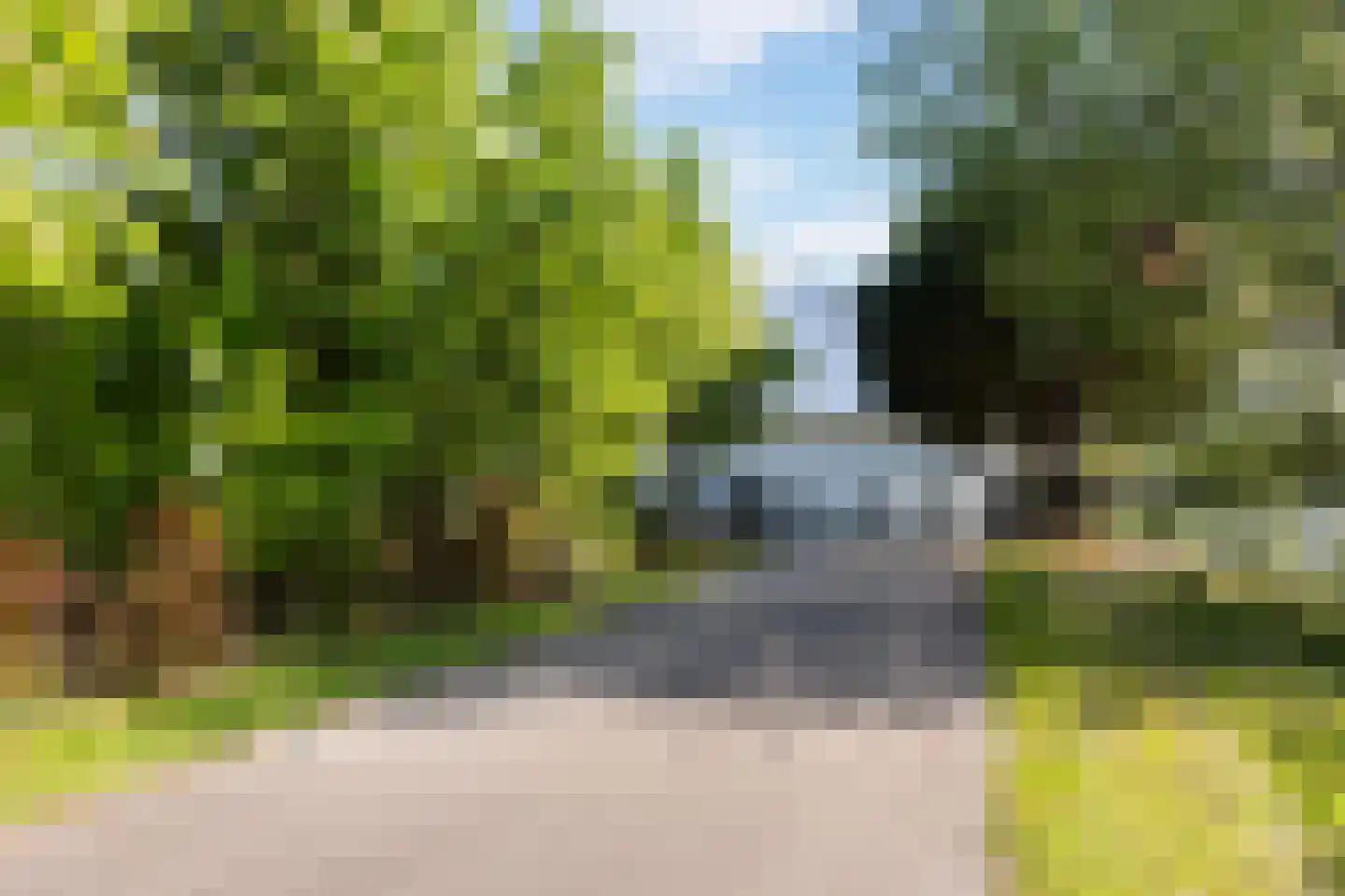 Waterlelie 15 Terneuzen thumbnail 7