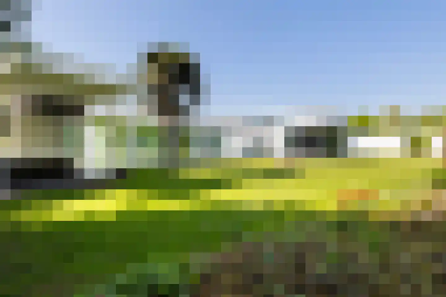 Waterlelie 15 Terneuzen thumbnail 8