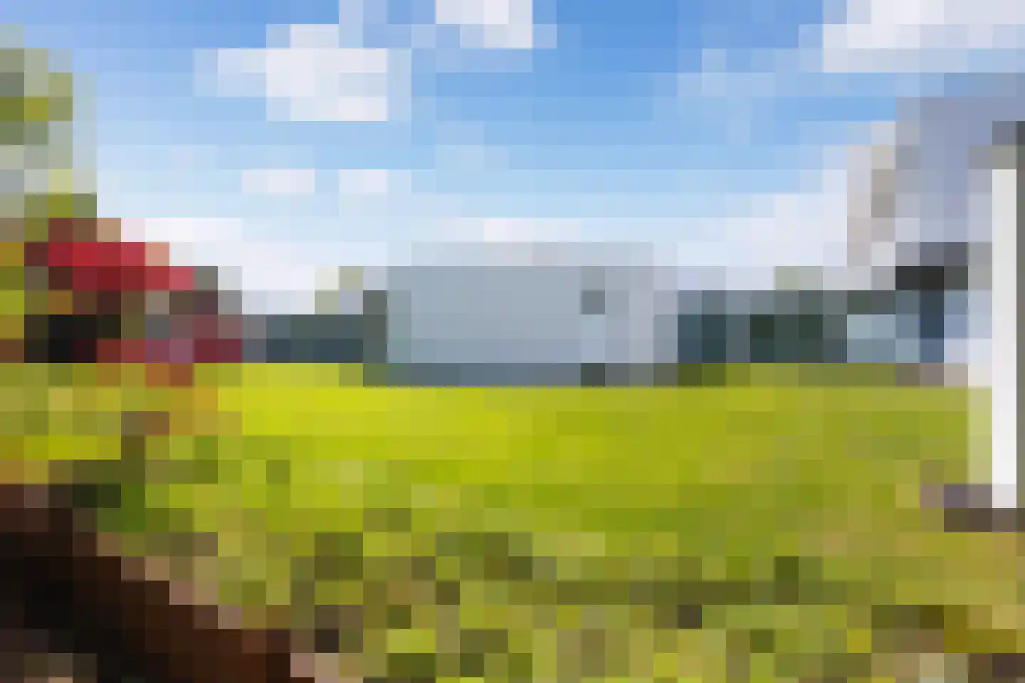 Waterlelie 15 Terneuzen thumbnail 9