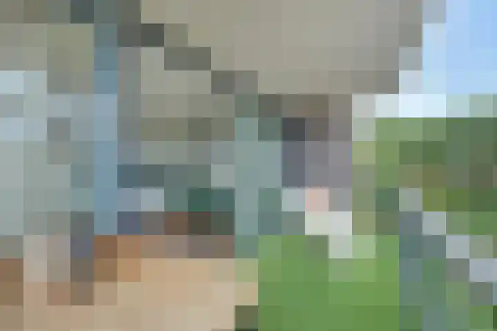 Waterlelie 162 Roelofarendsveen thumbnail 17