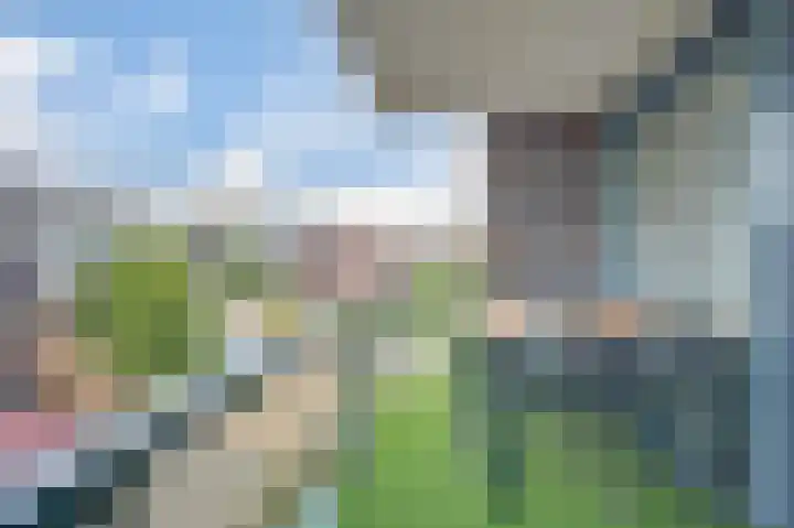Waterlelie 162 Roelofarendsveen thumbnail 18