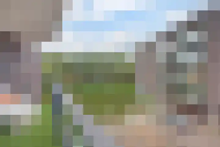 Waterlelie 162 Roelofarendsveen thumbnail 19