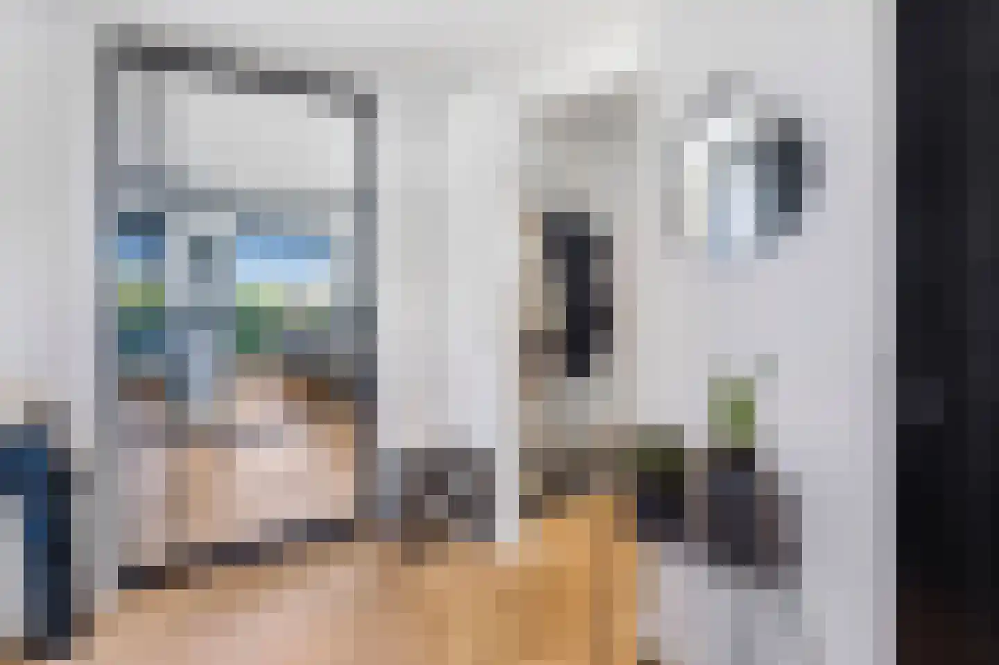 Waterlelie 18 Veenendaal thumbnail 11