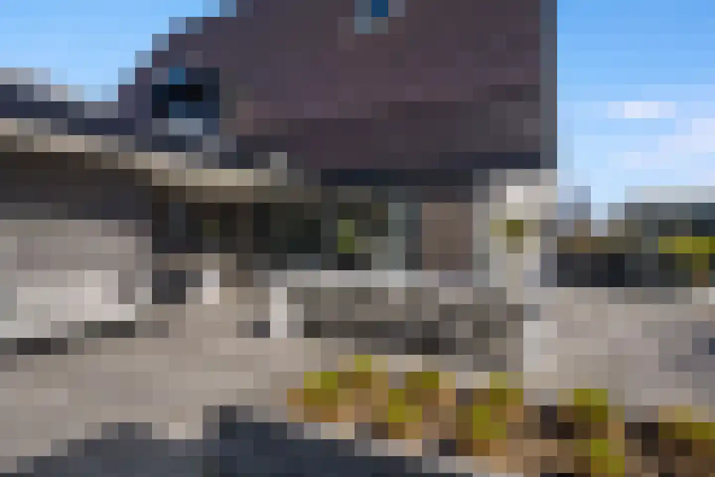 Waterlelie 18 Veenendaal thumbnail 5