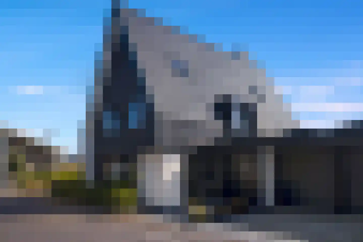 Waterlelie 18 Veenendaal thumbnail 6