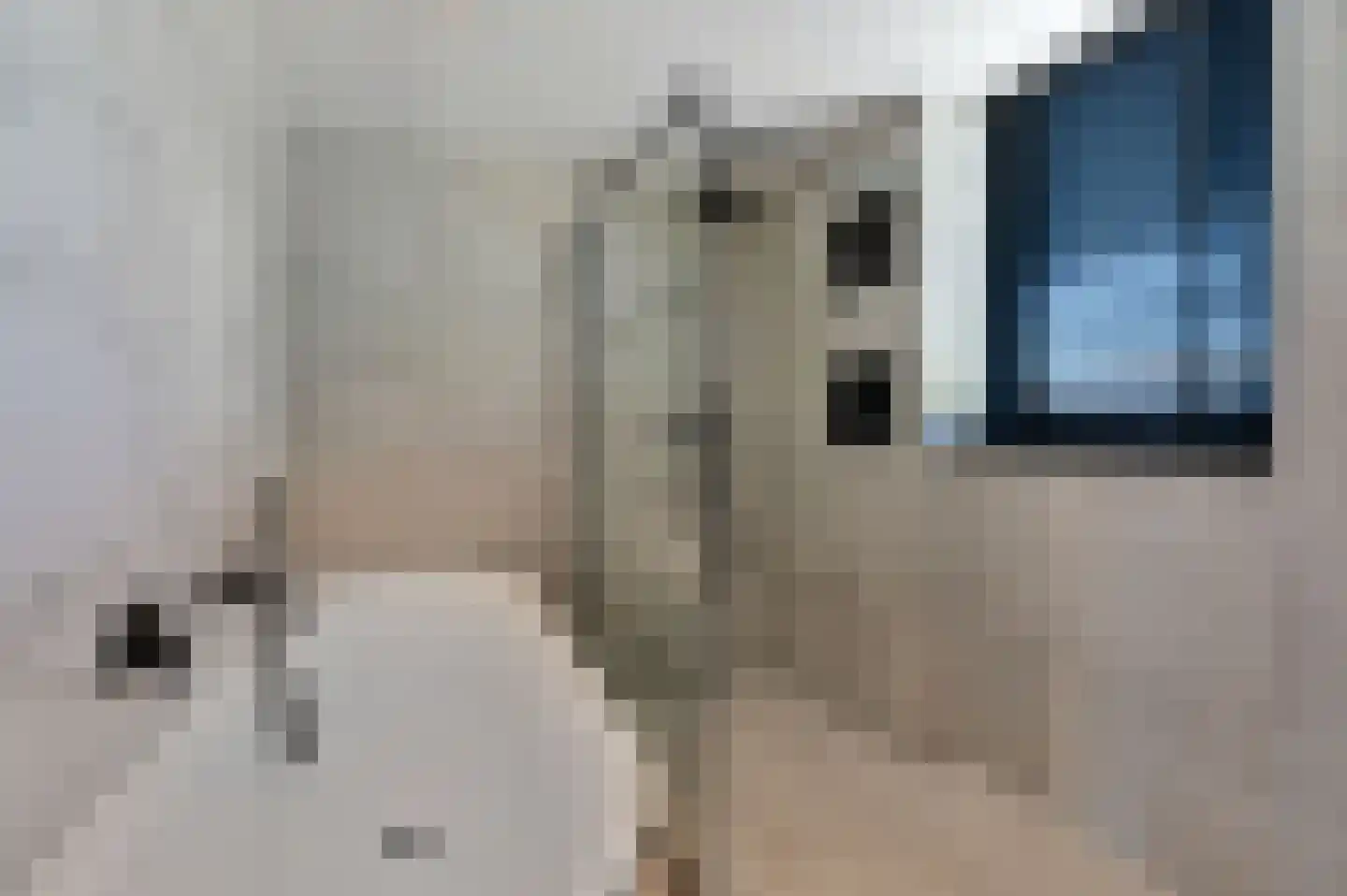 Waterlelie 2 Kockengen thumbnail 22