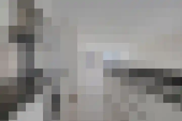 Waterlelie 21 Zwolle thumbnail 11