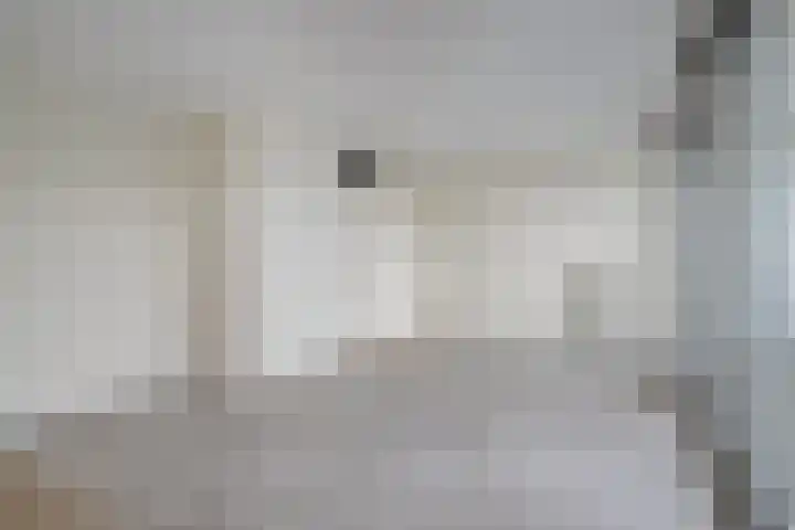 Waterlelie 21 Zwolle thumbnail 15