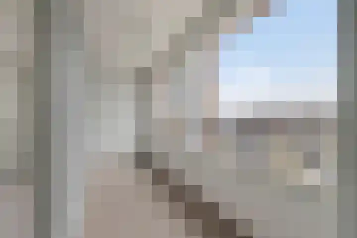 Waterlelie 21 Zwolle thumbnail 27