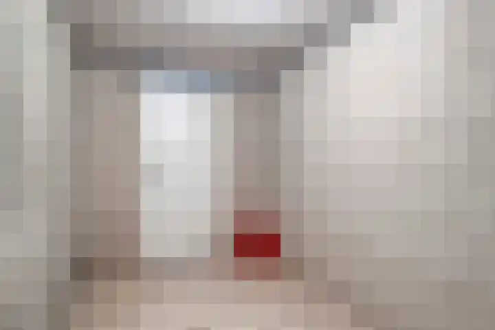 Waterlelie 21 Zwolle thumbnail 30