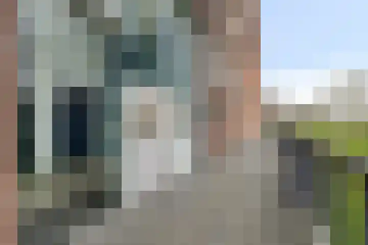 Waterlelie 21 Zwolle thumbnail 33