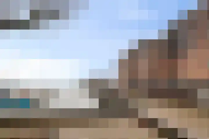 Waterlelie 21 Zwolle thumbnail 36