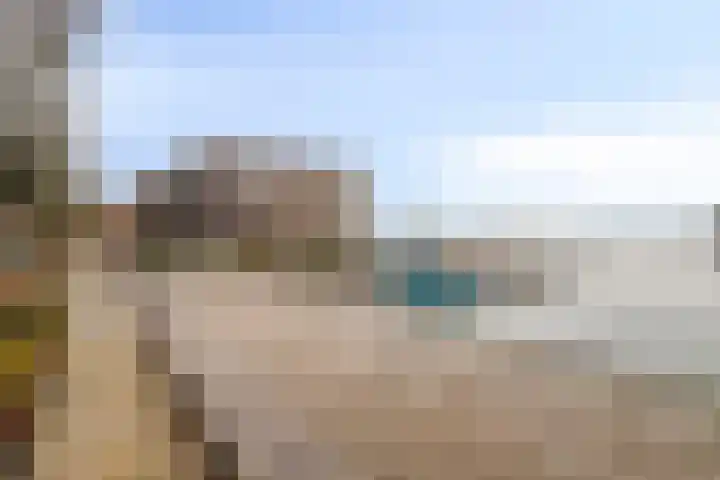 Waterlelie 21 Zwolle thumbnail 37