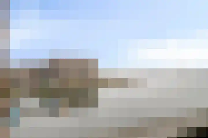 Waterlelie 21 Zwolle thumbnail 38
