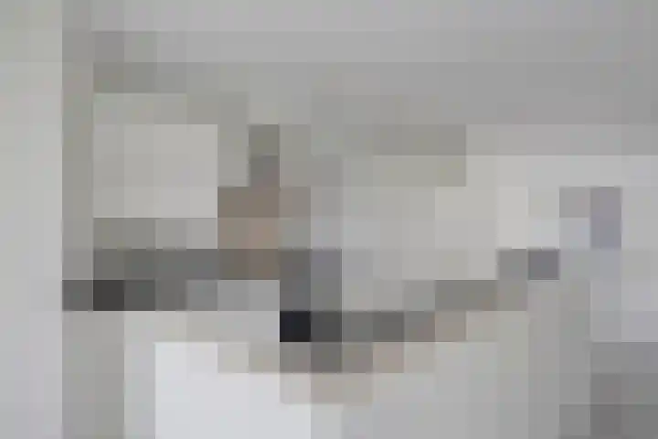 Waterlelie 21 Zwolle thumbnail 8