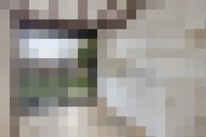 Waterlelie 22 Gouda thumbnail 15