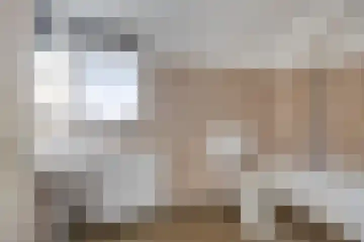 Waterlelie 22 Gouda thumbnail 22