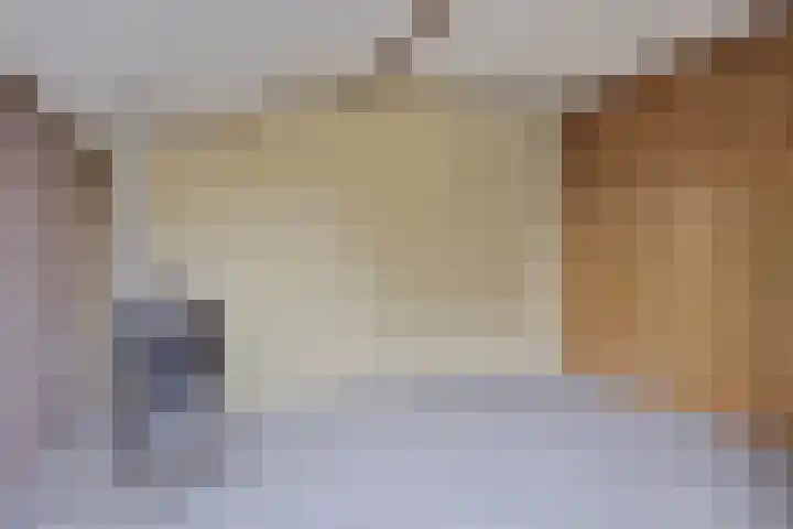 Waterlelie 22 Gouda thumbnail 25