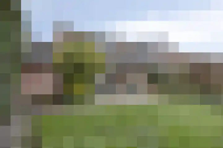 Waterlelie 22 Gouda thumbnail 26