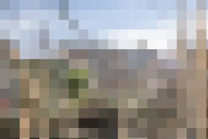 Waterlelie 22 Gouda thumbnail 27