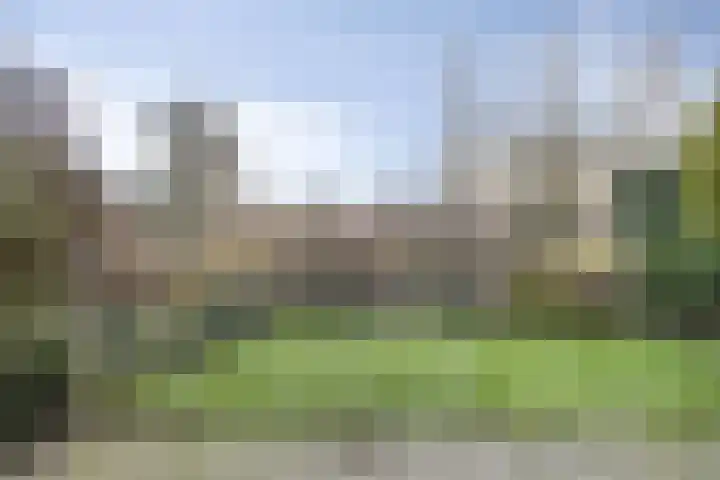 Waterlelie 22 Gouda thumbnail 28