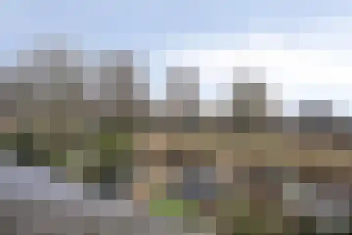 Waterlelie 22 Gouda thumbnail 32