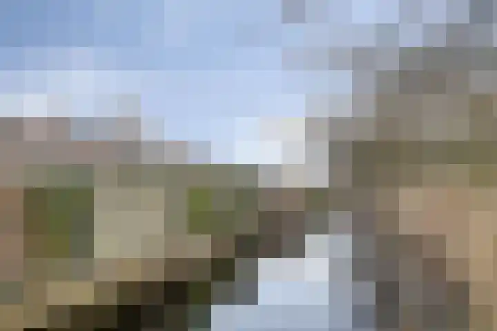 Waterlelie 22 Gouda thumbnail 33