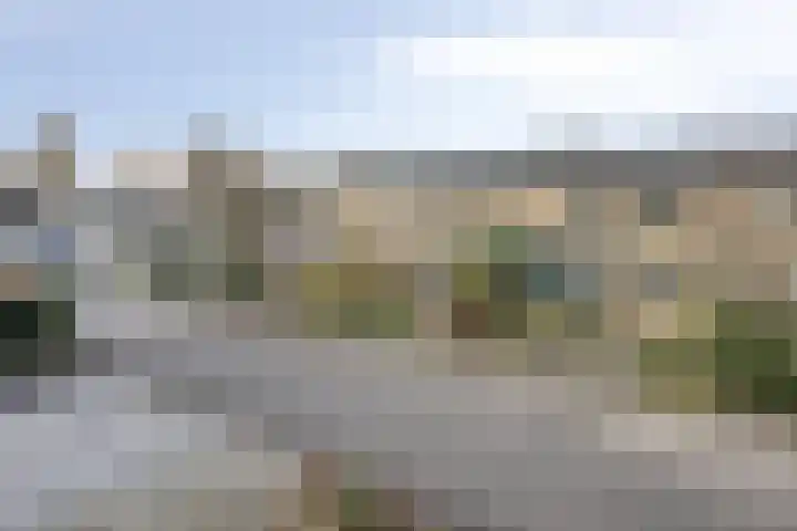 Waterlelie 22 Gouda thumbnail 34