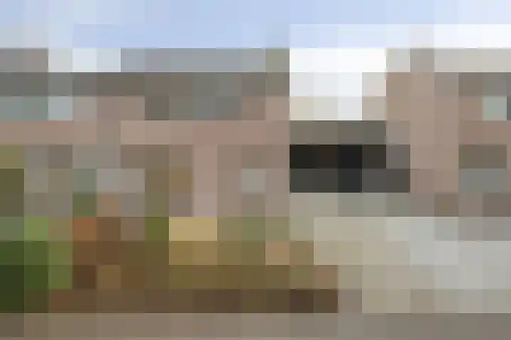 Waterlelie 22 Gouda thumbnail 38