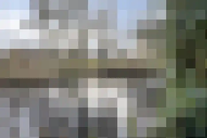 Waterlelie 22 Gouda thumbnail 40