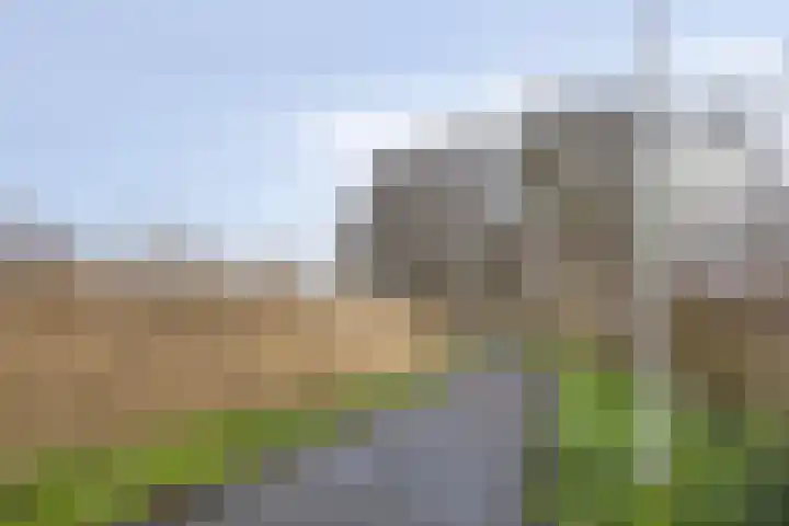 Waterlelie 22 Gouda thumbnail 41