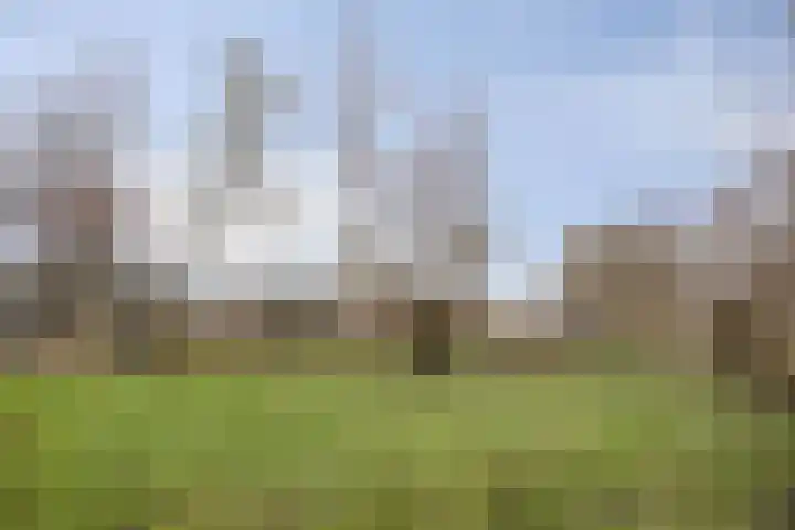 Waterlelie 22 Gouda thumbnail 42