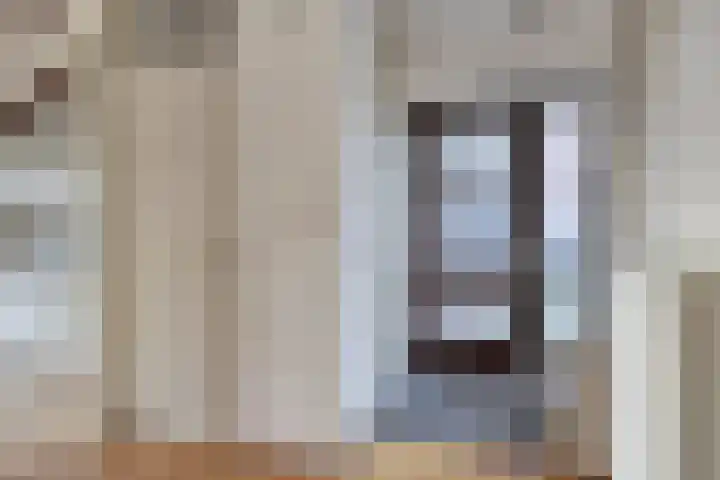 Waterlelie 22 Gouda thumbnail 6